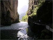 Walter 08.07.08-02.01.200935